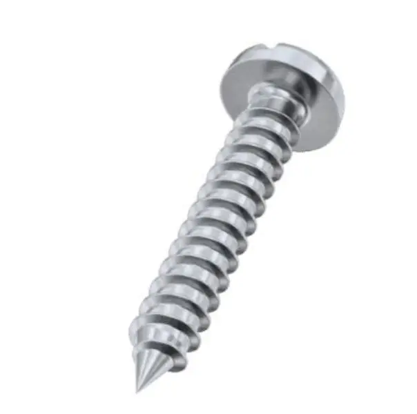 Ang Slotted Pan Head Self Tapping Screws DIN 7971 A2 Stainless Steel Natural na Matatapos na Madaling kalawang?