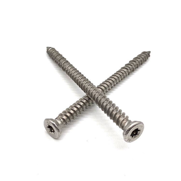 Ss304 Ss316 Pan Head Cross Self-Tapping Phillips Buong Thread