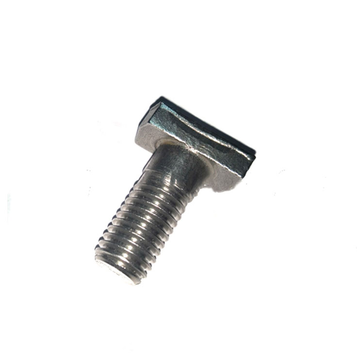 DIN261 Hindi kinakalawang na Asero SS304 316 T Head Bolt