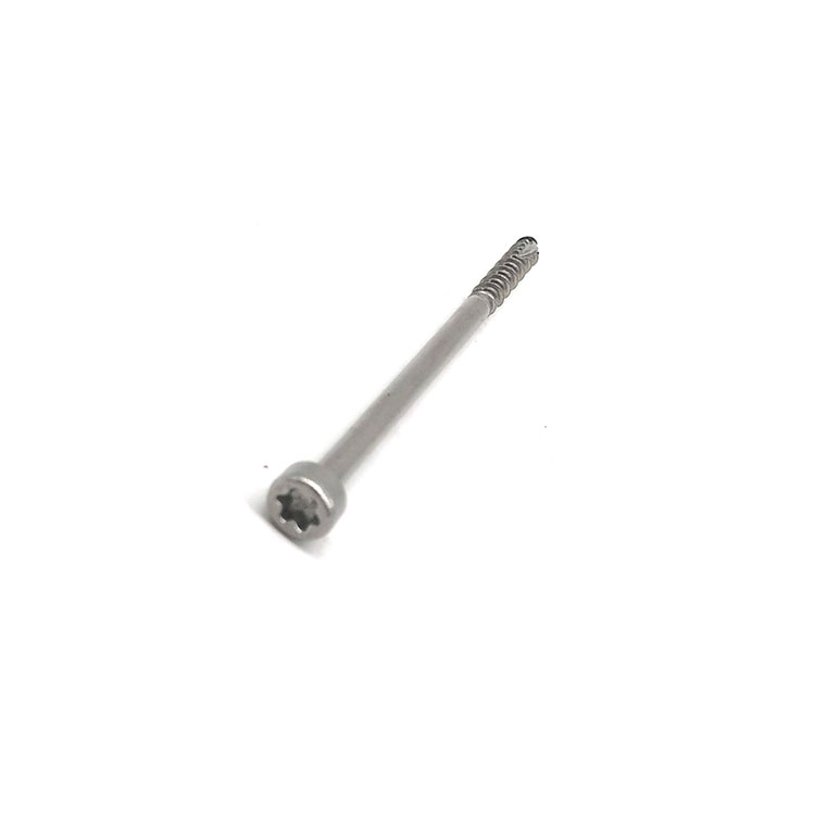 SS304 SS316 Hindi kinakalawang na Bakal na Star Shaped Torx Socket/Countersunk Head/Pan Head Security Screw