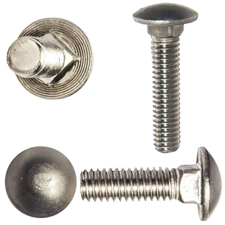 Hindi kinakalawang na asero Carriage Bolts Coach Bolts